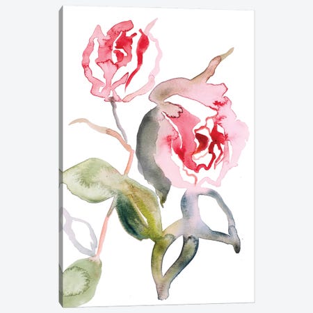 Rose Study No. 56 Canvas Print #EZB111} by Elizabeth Becker Canvas Art