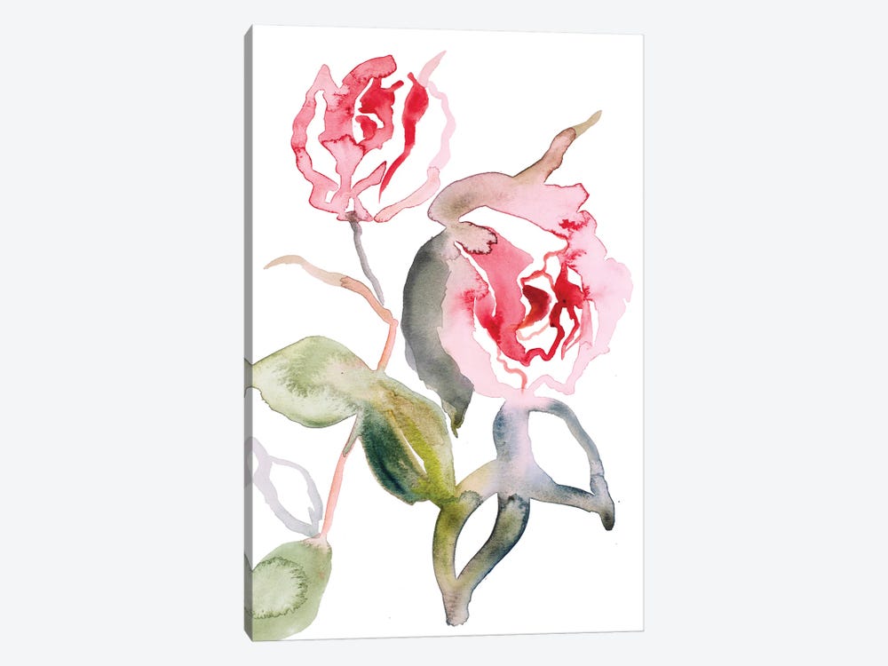 Rose Study No. 56 by Elizabeth Becker 1-piece Canvas Artwork