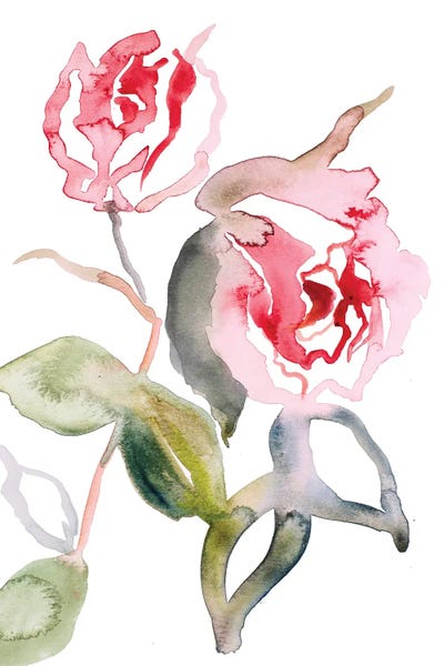 Fine Art Print: Rose Study No. 56 by Elizabeth Becker