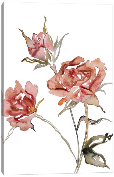 Rose Study No. 57 Canvas Art Print - Elizabeth Becker