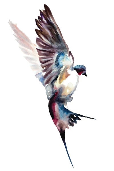 Swallow No. 41 by Elizabeth Becker framed wall art