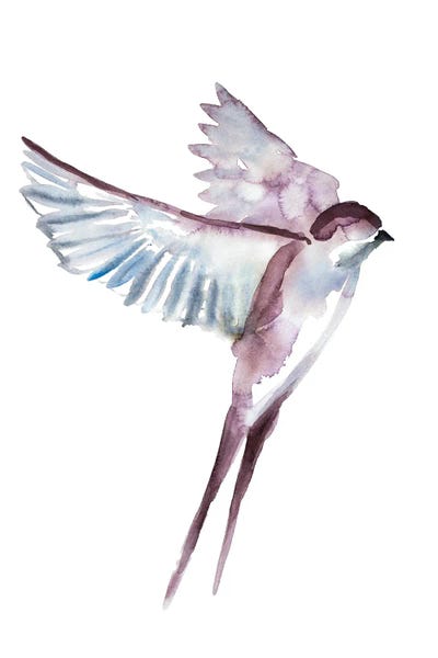 Swallow No. 42 by Elizabeth Becker framed wall art