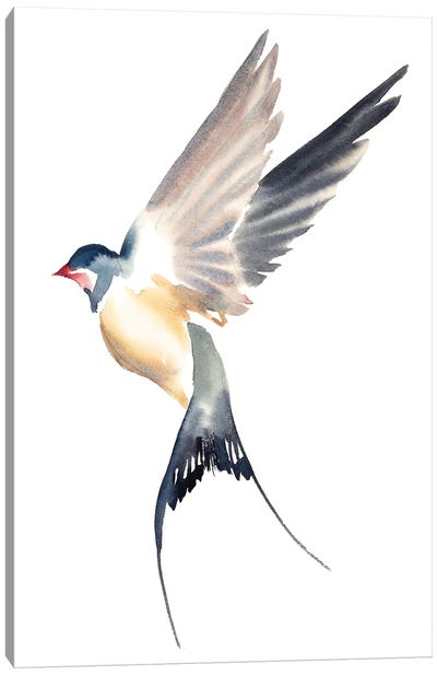 Swallow No. 52 Canvas Art Print - Elizabeth Becker