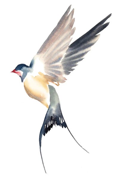 Martins & Swallows: Swallow No. 52 by Elizabeth Becker