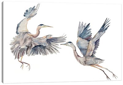 Two Herons Canvas Art Print - Elizabeth Becker