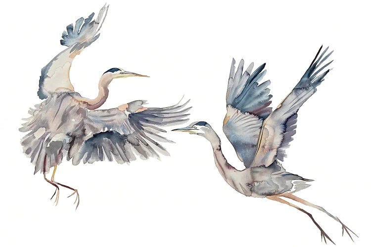 Two Herons