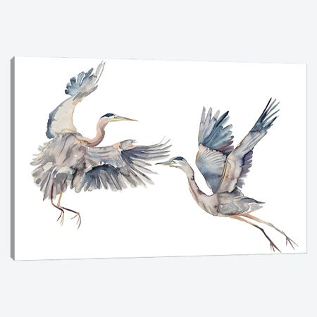 Two Herons Canvas Print #EZB119} by Elizabeth Becker Canvas Artwork