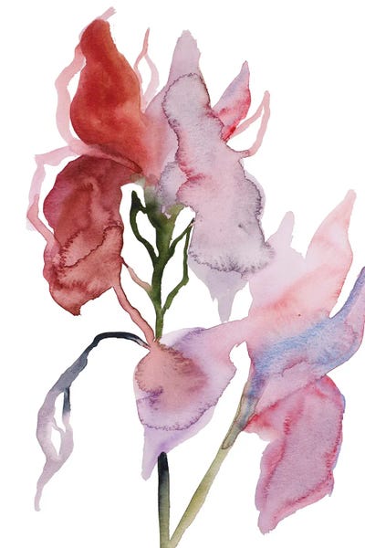 Two Irises No. 3 by Elizabeth Becker framed wall art