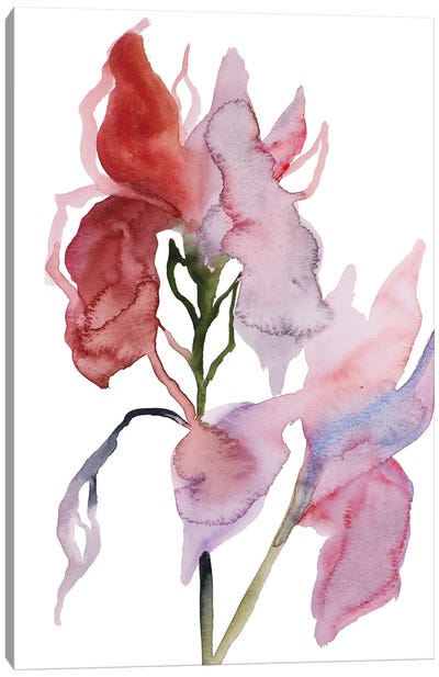 Two Irises No. 3 Canvas Art Print - Elizabeth Becker