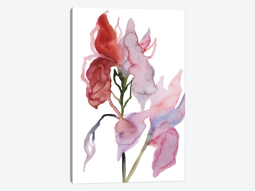 Two Irises No. 3 by Elizabeth Becker 1-piece Canvas Wall Art