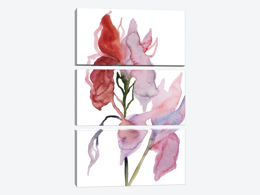 Two Irises No. 3 by Elizabeth Becker 3-piece Canvas Wall Art