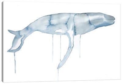Whale No. 1 Canvas Art Print - Elizabeth Becker