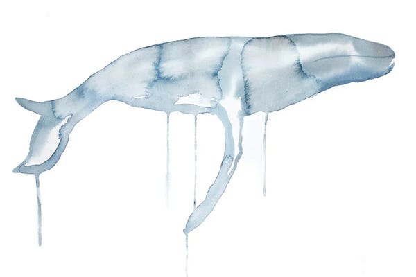 Whales: Whale No. 1 by Elizabeth Becker