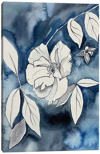 Wild Rose No. 15 Canvas Art Print - Elizabeth Becker