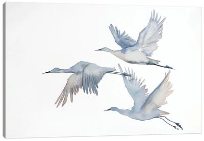 Winter Geese No. 5 Canvas Art Print - Elizabeth Becker