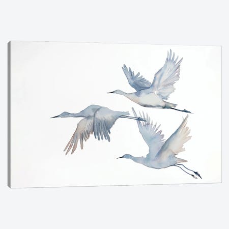 Winter Geese No. 5 Canvas Print #EZB125} by Elizabeth Becker Canvas Art