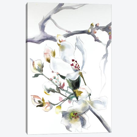 Cherry Blossom No. 9 Canvas Print #EZB12} by Elizabeth Becker Canvas Art Print