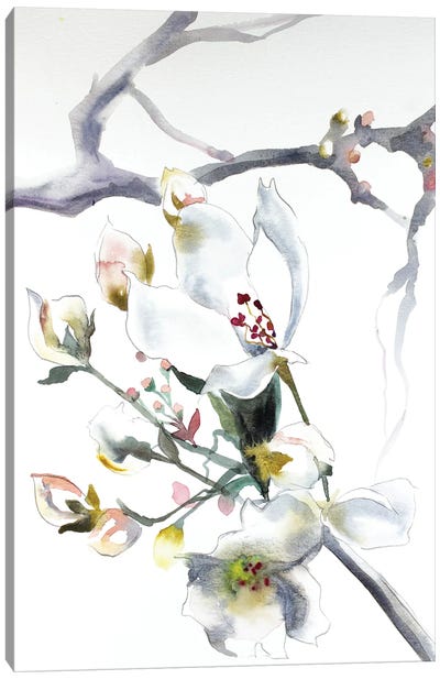 Cherry Blossom No. 9 Canvas Art Print - Elizabeth Becker