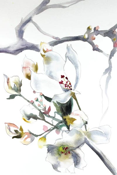 Watercolor Flowers: Cherry Blossom No. 9 by Elizabeth Becker