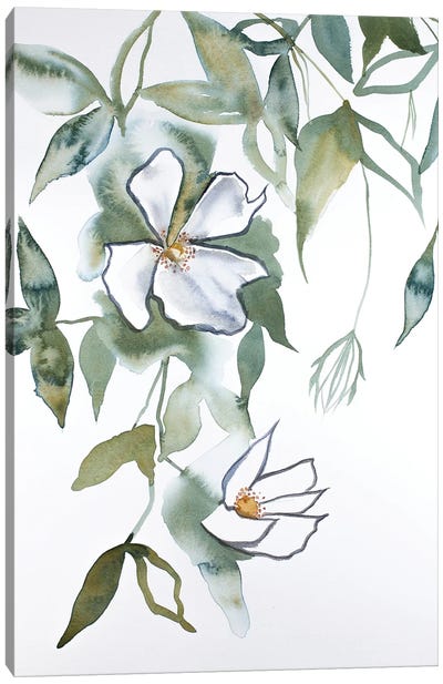 Cherry Blossom No. 13 Canvas Art Print - Elizabeth Becker