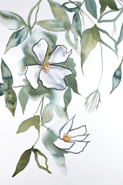 Cherry Blossoms: Cherry Blossom No. 13 by Elizabeth Becker