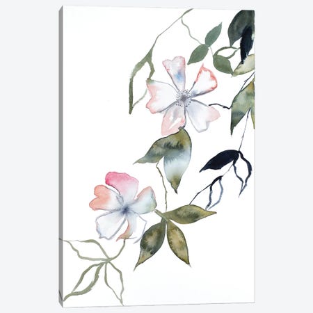 Cherry Blossom No. 14 Canvas Print #EZB14} by Elizabeth Becker Canvas Wall Art