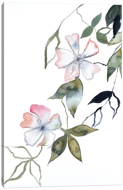 Cherry Blossom No. 14 Canvas Art Print - Elizabeth Becker