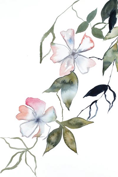 Cherry Blossoms: Cherry Blossom No. 14 by Elizabeth Becker