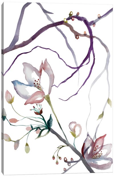 Cherry Blossom No. 31 Canvas Art Print - Elizabeth Becker