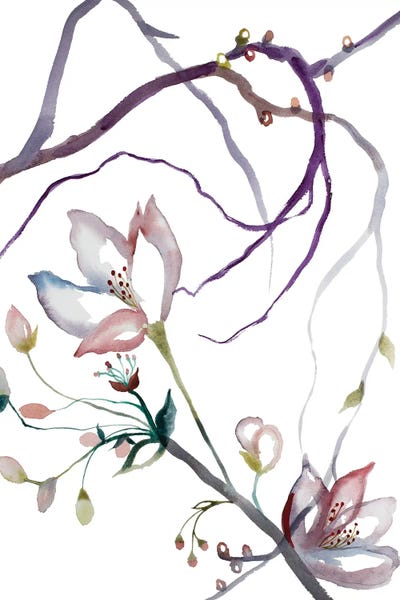 Cherry Blossoms: Cherry Blossom No. 31 by Elizabeth Becker