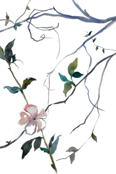 Cherry Blossom No. 32 by Elizabeth Becker framed wall art