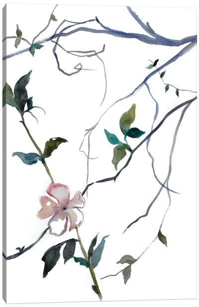 Cherry Blossom No. 32 Canvas Art Print - Elizabeth Becker