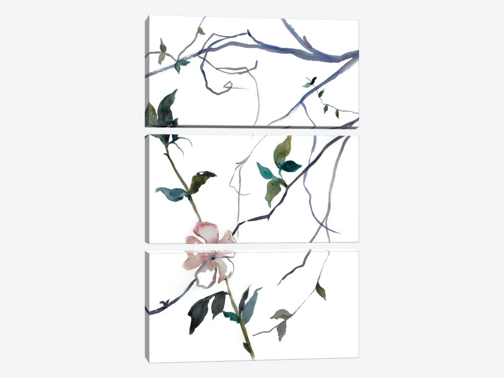 Cherry Blossom No. 32 by Elizabeth Becker 3-piece Canvas Print