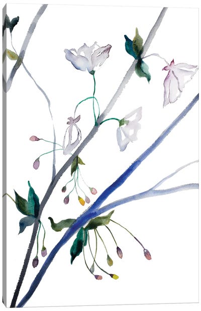 Cherry Blossom No. 34 Canvas Art Print - Elizabeth Becker