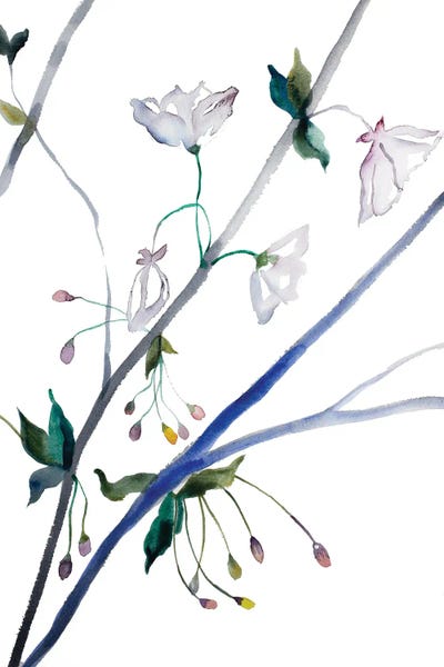 Cherry Blossoms: Cherry Blossom No. 34 by Elizabeth Becker