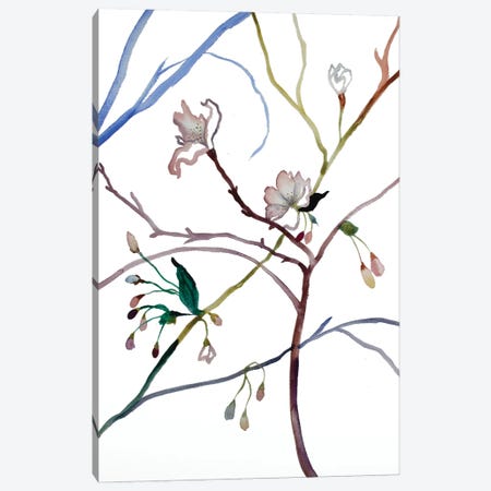 Cherry Blossom No. 35 Canvas Print #EZB18} by Elizabeth Becker Canvas Art Print