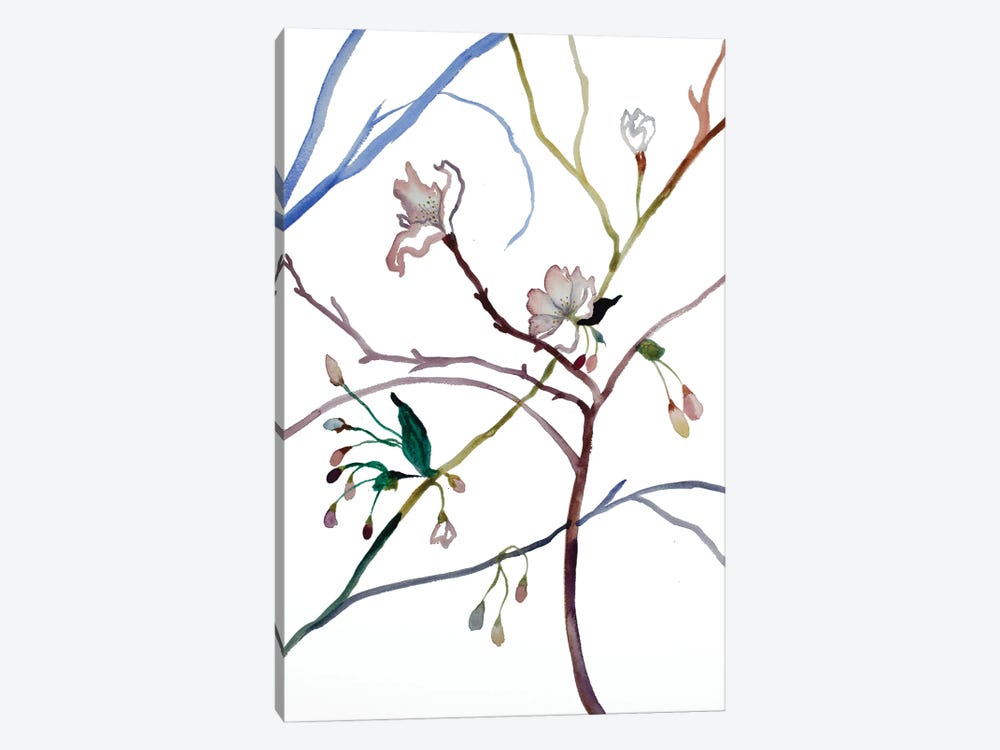 Cherry Blossom No. 35 by Elizabeth Becker 1-piece Canvas Print