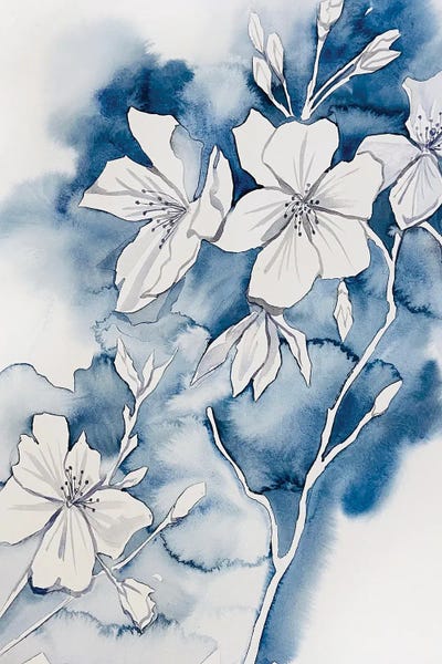 Cherry Blossoms: Cherry Blossom No. 36 by Elizabeth Becker
