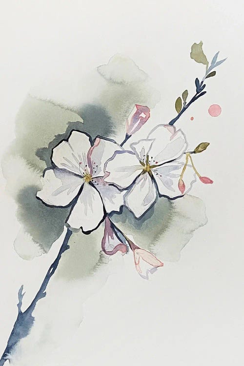 Cherry Blossom No. 37