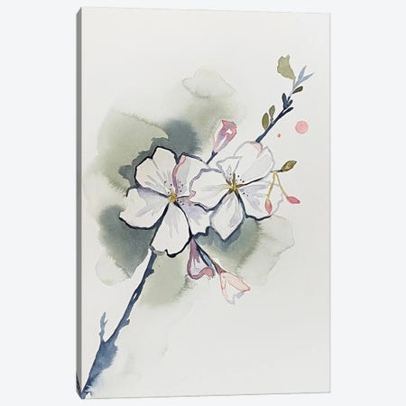 Cherry Blossom No. 37 Canvas Print #EZB20} by Elizabeth Becker Canvas Art