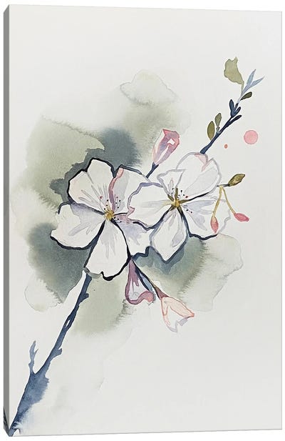 Cherry Blossom No. 37 Canvas Art Print - Elizabeth Becker