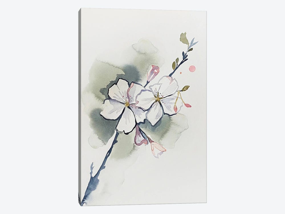 Cherry Blossom No. 37 by Elizabeth Becker 1-piece Canvas Wall Art