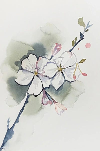 Blossoms: Cherry Blossom No. 37 by Elizabeth Becker