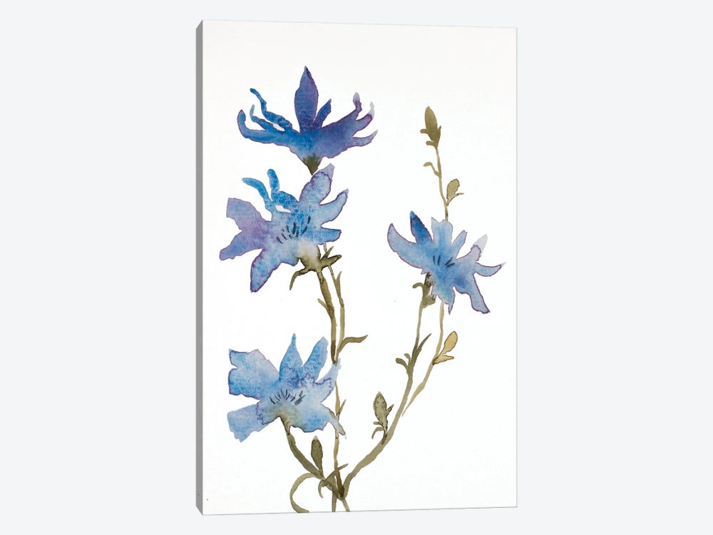 Chicory No. 2 by Elizabeth Becker 1-piece Art Print