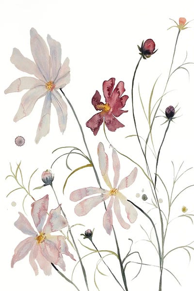 Cosmos: Cosmo No. 2 by Elizabeth Becker