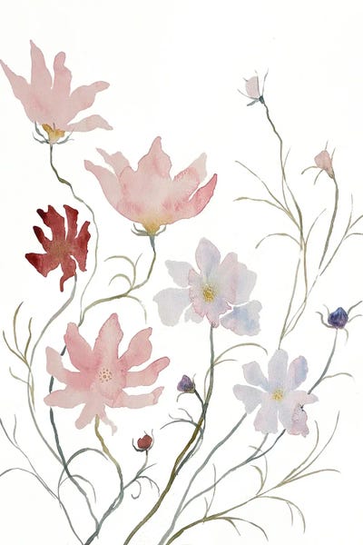 Cosmos: Cosmo No. 3 by Elizabeth Becker