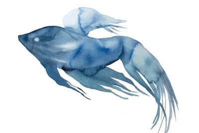 Fish No. 4 by Elizabeth Becker framed wall art