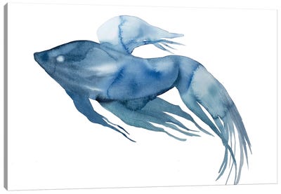 Fish No. 4 Canvas Art Print - Elizabeth Becker