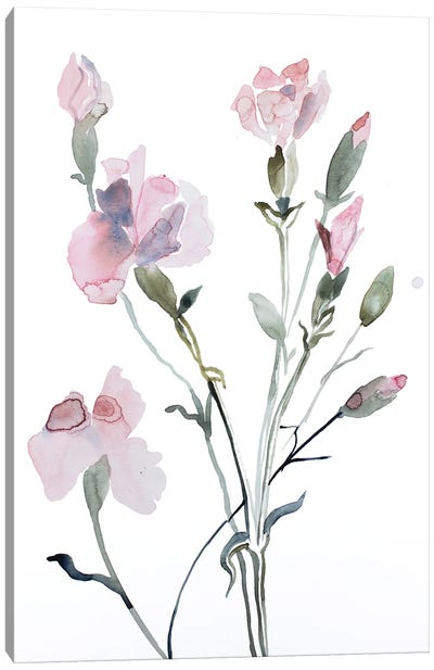 Floral No. 8 Canvas Art Print - Elizabeth Becker