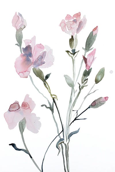 Wildflowers: Floral No. 8 by Elizabeth Becker